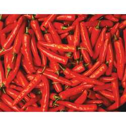 Manufacturers Exporters and Wholesale Suppliers of Red Chillies Mahuva Gujarat